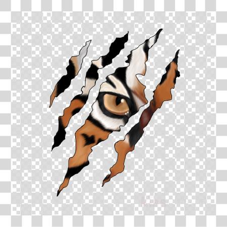 下载 Claw Photo Tiger Scratch PNG file