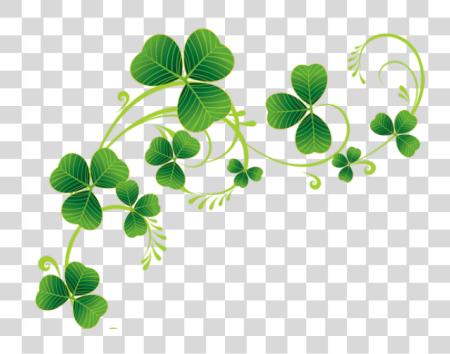 下载 Irland 四个 叶子 Clover St Patricks 日 PNG file