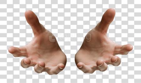 Download Hand By Digitalwid Hands PNG file