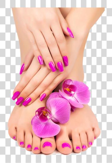 Download And Feet Closeup Pedicure Lotion Nail Manicure Manicure PNG file