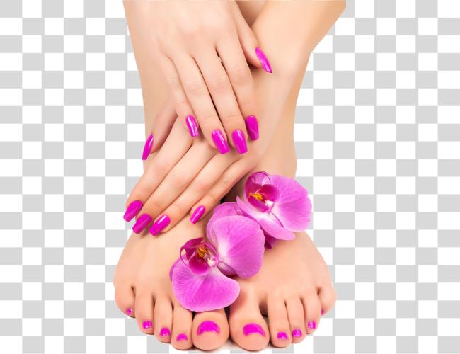 تحميل و Feet Closeup Pedicure Lotion Nail Manicure Manicure مقطوعة فن