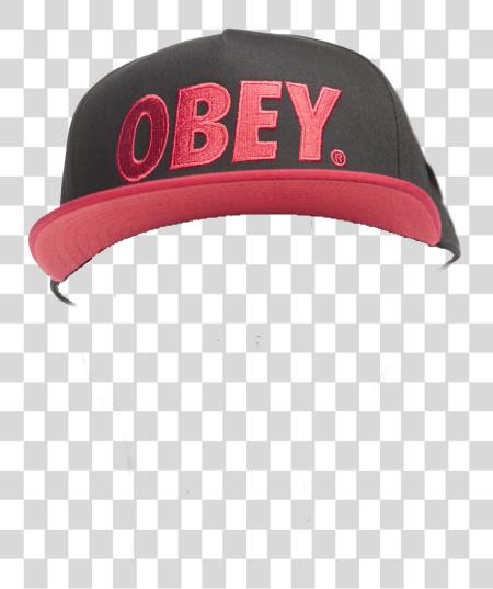 下载 Obey 帽子 Mlg Baseball Cap PNG file