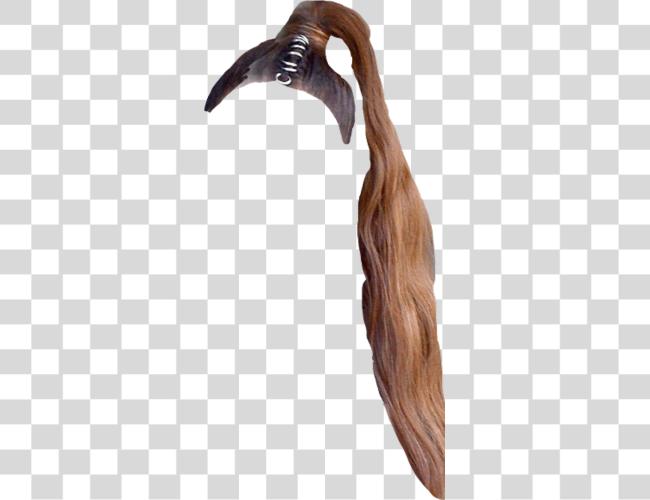 Download cabello arianagrande arianahair arianagrandehair ponytail Driftwood Clip arte