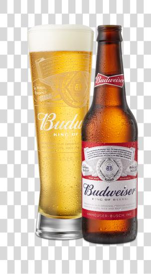 Download Beer Poured In Glass Next To Bottle Budweiser PNG file