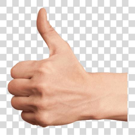 Download Hand Thumb Up Green Condom Club Thumbs Up Hand PNG file