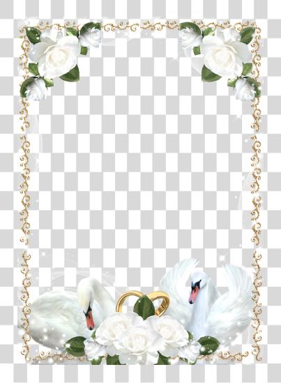 下载 婚礼 玫瑰 和 Swans Picture 框架 白色 婚礼 框架 PNG file