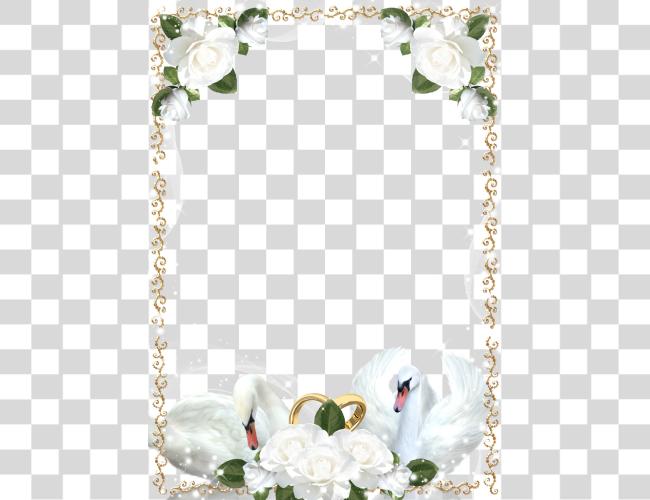 Download Wedding Roses And Swans Picture Frame White Wedding Frame Clip Art