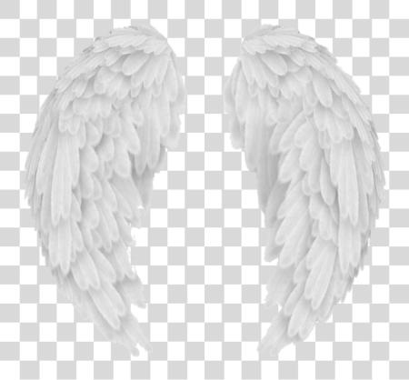 Download wings wing alas ala overlay tumblr white blanco PNG file