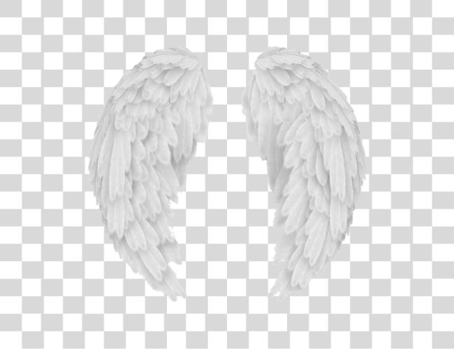 Download wings wing alas ala overlay tumblr white blanco Clip Art