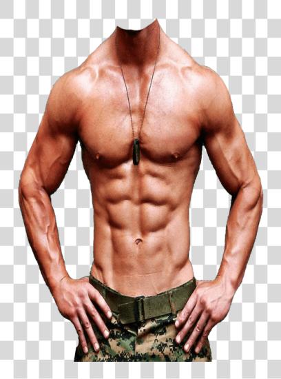 Download seis paquete cuerpo PNG file