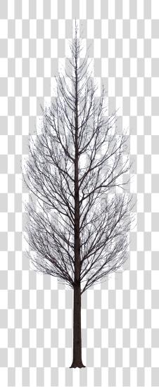 Download Tree Psd Watercolor Trees Winter Trees Photomontage Tree Without PNG file