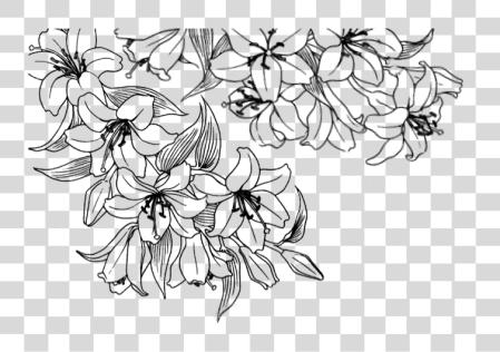 Download Flower Overlay Flower Drawing Tumblr PNG file