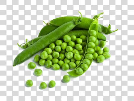 Download Pea Photo fresco verde Peas PNG file