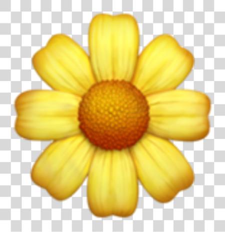 Download Iphone Emoji Flowers Daisy Iphone Flower Emoji PNG file