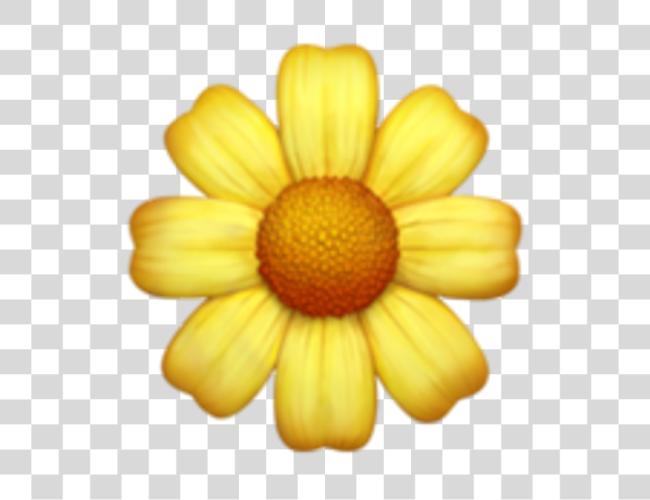 Download iphone emoji flores Daisy iphone flor emoji Clip arte