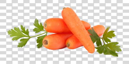 Download zanahorias morado Carrot rojo PNG file