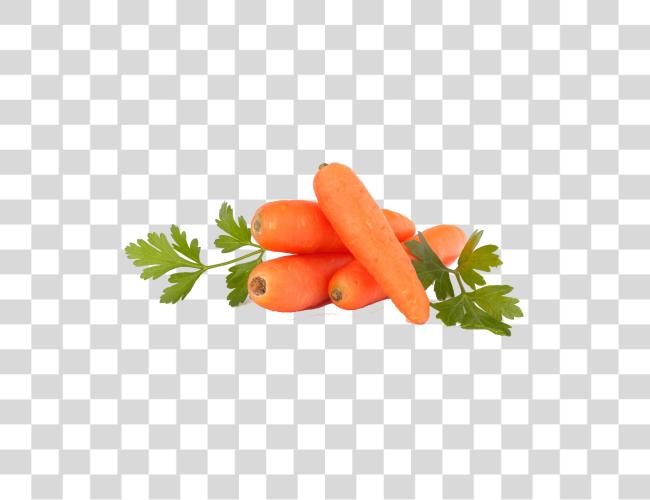 Download Carrots Purple Carrot Red Clip Art