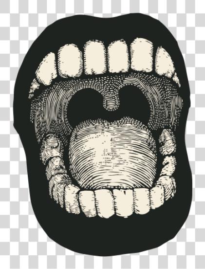 Download Screaming Mouth Screaming Mouth Drawing PNG file