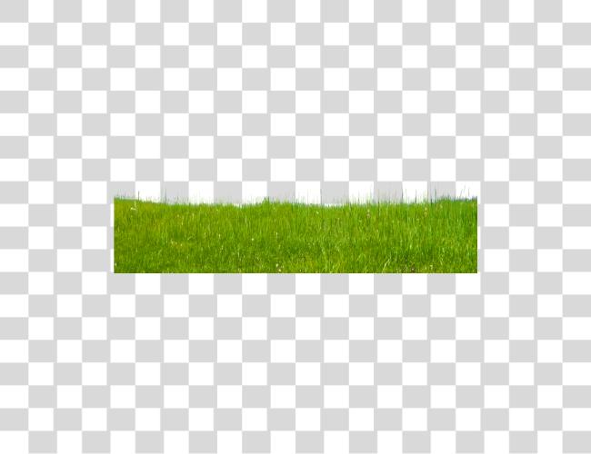 Download Grass verde Grass Clip arte