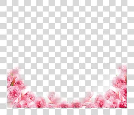 Download Pink Rose Border PNG file