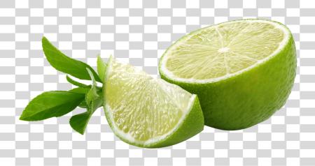 Download Lemon Image Lemon Green Lemon Sliced PNG file