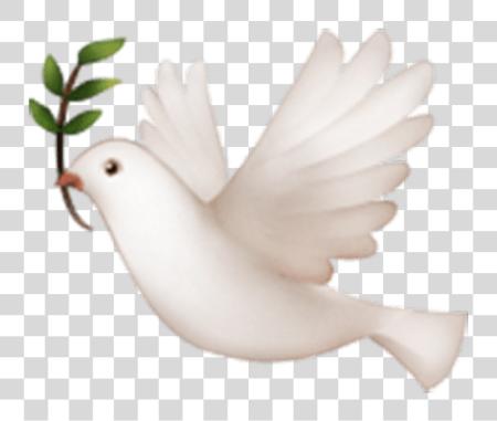 Download dove white nature animal emoji stickers cute Bird Emoji On Iphone PNG file