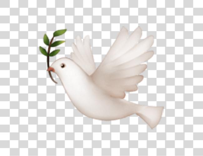 Download dove white nature animal emoji stickers cute Bird Emoji On Iphone Clip Art