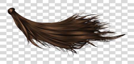 Download Hair Long Black Hair PNG file