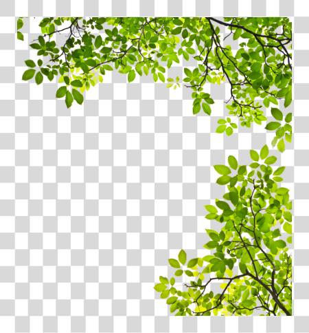 Download Feuille Arbre Tree Branches With Leaves PNG file