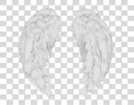 Download Angel Wings Baby Angel Wings PNG file