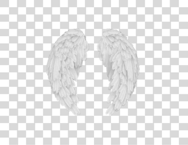 Download Angel Wings Baby Angel Wings Clip Art