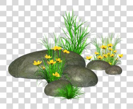 Download Stones With Grass And Yellow Flowers Stone Rocks PNG file