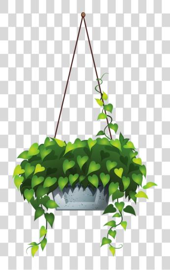 Download Hanging flor 6 Hanging Pot Plants PNG file