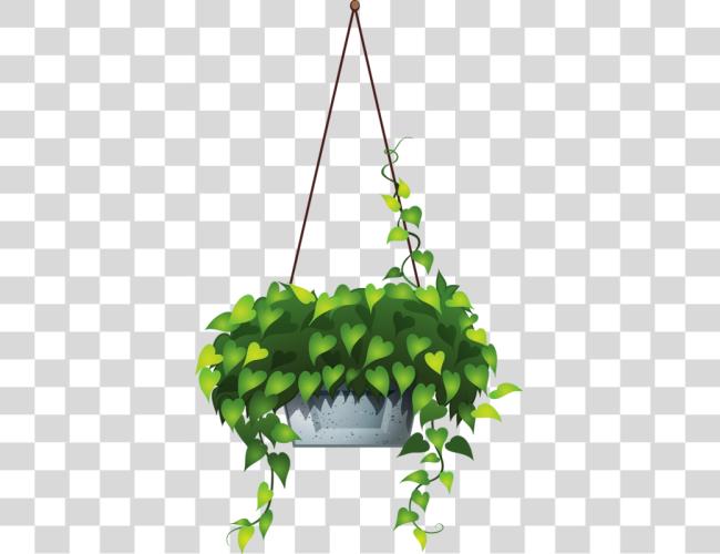 Download Hanging Flower 6 Hanging Pot Plants Clip Art