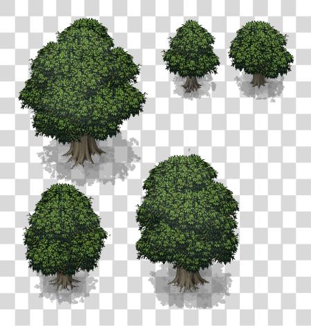 تحميل أخضر Trees مع ظلال الى Parallax Mapping أو Rpg Rpg Maker Mv شجرة Tileset بي ان جي ملف