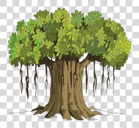 Download Banyan Tree Is The National Tree Of India Gambel Oak PNG file