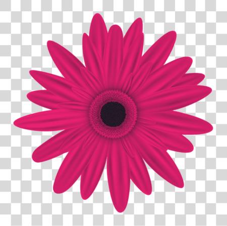 Download Pink flor Pink Flowers PNG file