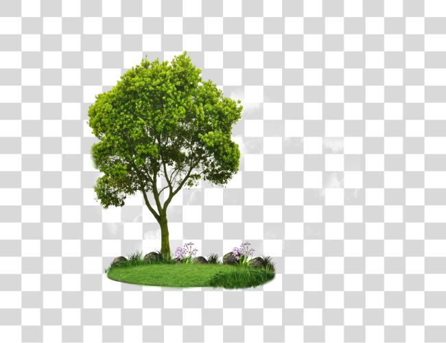 Download Plan View Tree Small Trees Clip Art