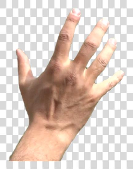 Download Thumb Image Hands Grabbing PNG file