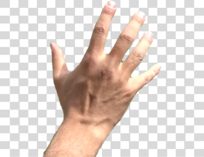 Download Thumb Image Hands Grabbing Clip Art