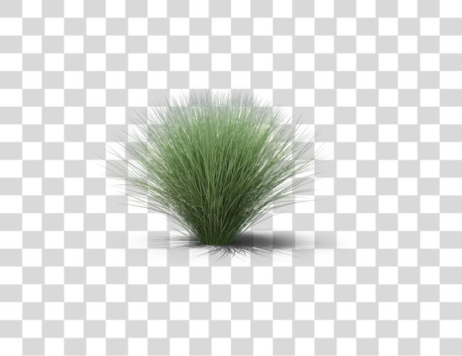 Download dulce Grass Clip arte