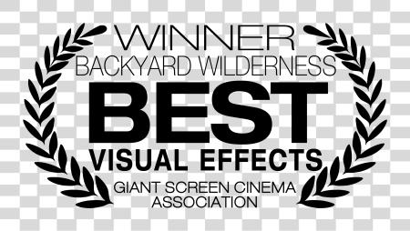 Download Aa Gsca Best Film Short Subject Movie Awards PNG file