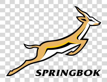 Download springbok logotipo PNG file