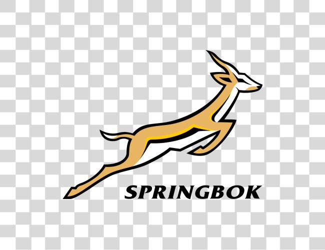 Download springbok logotipo Clip arte