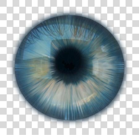 下载 Olhos Iris Do Olho Azul PNG file