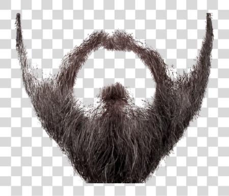 下载 Realistic Beard Beard PNG file