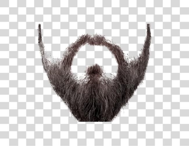 下载 Realistic Beard Beard Clip 艺术