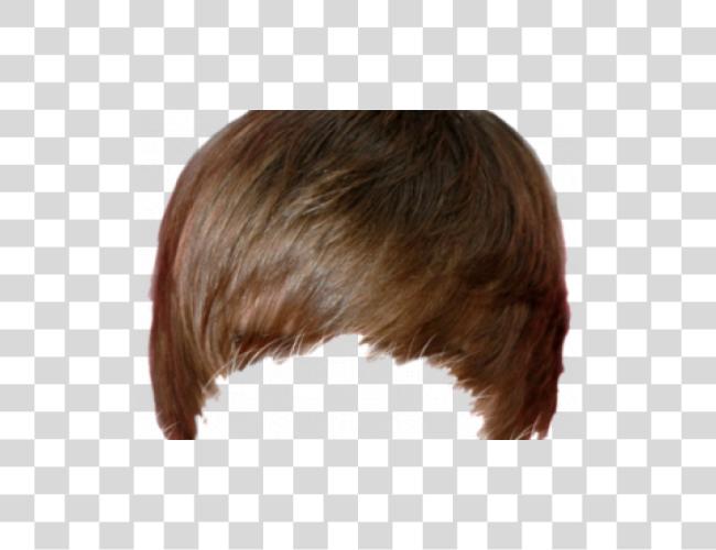 Download Hairstyles Justin Bieber cabello Clip arte