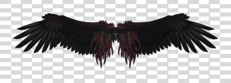 Download Black Angel Wings Image Dark Angel Wings PNG file