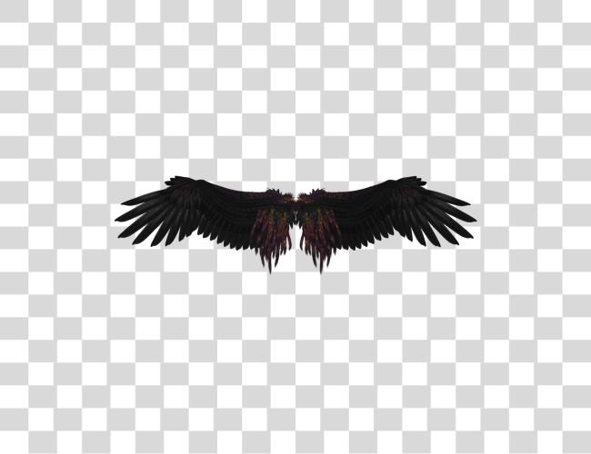 Download Black Angel Wings Image Dark Angel Wings Clip Art